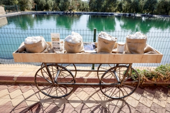 Trendyolmilla ilkə imza atıb: Regenerativ pambıqdan cins kolleksiyası - [red]FOTOLAR[/red] | FED.az