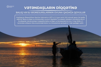 Bu gündən Azərbaycanda balıq ovu - QADAĞAN EDİLİR