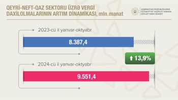 10 ayda qeyri-neft-qaz sektorundan vergi daxilolmaları 13,9 faiz artıb | FED.az