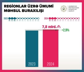 Regionlarda əsas kapitala yatırılan investisiyaların həcmi - AÇIQLANDI | FED.az