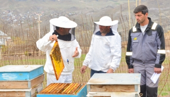 Дашкесанским пчеловодам оказаны индивидуальные аграрные консультационные услуги | FED.az
