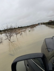 "Sitalçayda acınacaqlı vəziyyət - quşçuluq təsərrüfatları fəaliyyətlərini dayandırmaq üzrədilər" - FOTOLAR | FED.az