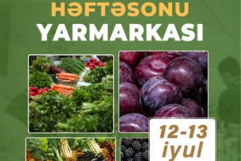 20 rayondan 50 fermer Bakıda mallarını satacaq - YARMARKA