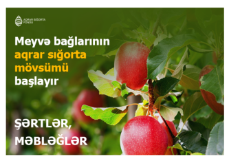 Azərbaycanda meyvə bağlarının aqrar sığortası mövsümü başlayır – ŞƏRTLƏR, MƏBLƏĞLƏR