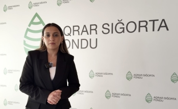 Azərbaycanda ilk dəfə: Mal-qaranın əkin sahəsinə vurduğu zərərə görə - [red]8 614 MANAT SIĞORTA ÖDƏNİŞİ[/red] | FED.az