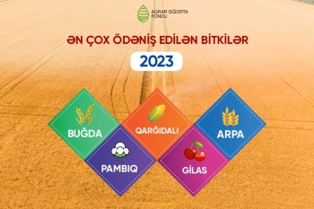 2023-də rekord məbləğdə aqrar sığorta ödənişi edilib | FED.az