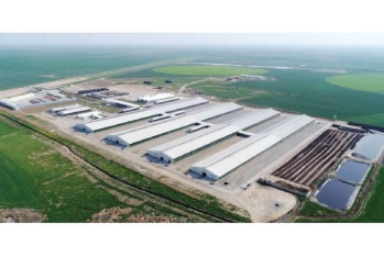 Aqrar müəssisələrin baş planlarının layihələndirmə normaları təsdiqlənib