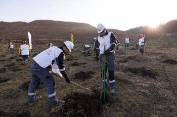 “AzerGold” QSC tərəfindən “Zəfər Günü” münasibətilə Göygöl və Daşkəsən rayonlarında ağacəkmə aksiyaları təşkil edilib | FED.az