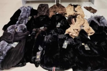 Xəz dəri məmulatlarının qanunsuz yolla ölkəyə gətirilməsi cəhdinin qarşısı alınıb