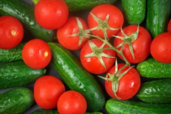Rusiyada oktyabrda xiyar 48,7%, pomidor 43,8% - BAHALAŞIB