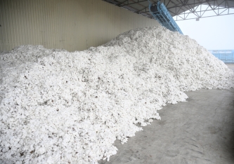 İlham Əliyev Sabirabadda pambıq emalı zavodunun fəaliyyəti ilə tanış olub | FED.az