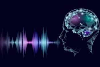 DİN: Ən geniş yayılmış dələduzluq üsullarından biri süni intellektlə səsin təqlididir