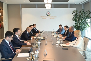 Azərbaycan beynəlxalq konsaltinq şirkəti ilə əməkdaşlığı müzakirə edib