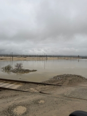 "Sitalçayda acınacaqlı vəziyyət - quşçuluq təsərrüfatları fəaliyyətlərini dayandırmaq üzrədilər" - FOTOLAR | FED.az
