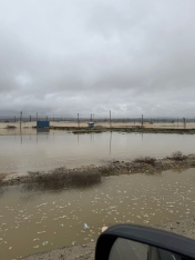 "Sitalçayda acınacaqlı vəziyyət - quşçuluq təsərrüfatları fəaliyyətlərini dayandırmaq üzrədilər" - FOTOLAR | FED.az