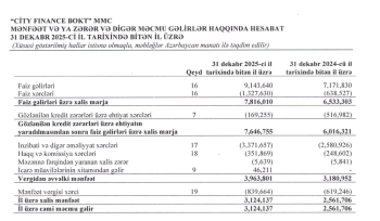 «City Finance BOKT» sürətlə böyüyür, mənfəəti artıb -[red] HESABAT[/red] | FED.az