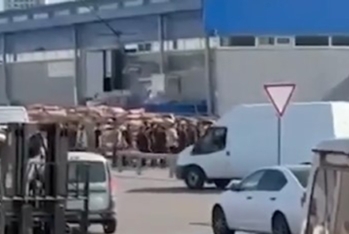 Moskva bazarında azərbaycanlılar saxlanılıb - VİDEO