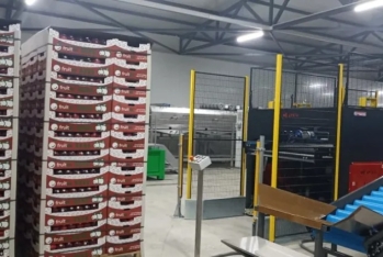 “Azexport” portalı yerli məhsulların Oman və Qətərə ixracını həyata keçirəcək