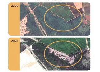 Meşənin 1 hektarı «Beta Tea» şirkətinə 26 manatdan icarəyə verilibmiş – MÜHARİBƏ VAXTI | FED.az