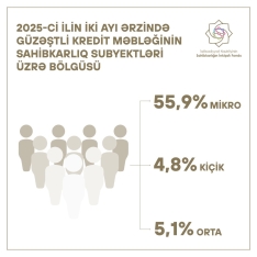 Güzəştli kreditlər daha çox mikrosahibkarlara verilib | FED.az