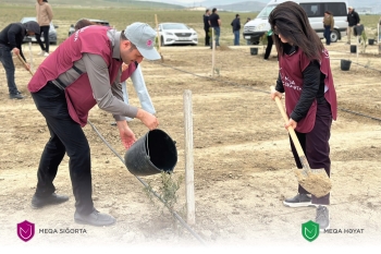 "Meqa Sığorta" əməkdaşları növbəti ağacəkmə kampaniyasında iştirak ediblər - [red]FOTOLAR[/red] | FED.az