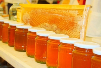 Bu il bal yarmarkasında 83 tondan çox arıçılıq məhsulu satılıb