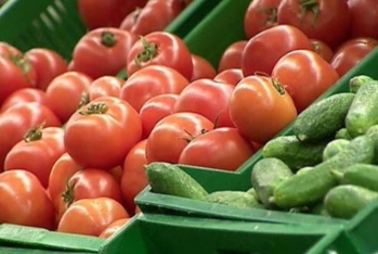 Hava şəraiti fermerləri çətin vəziyyətə salıb: Məhsul itkisi artır - VİDEO