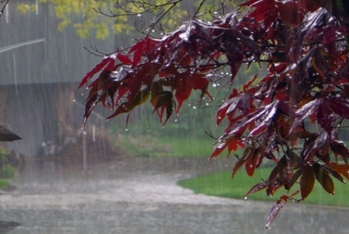 Bəzi yerlərdə yağış yağacaq - SABAHIN HAVA PROQNOZU