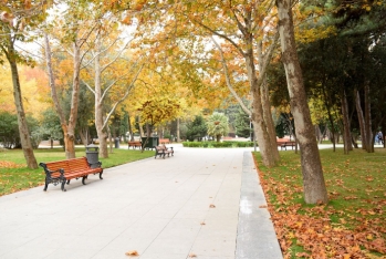 20 dərəcə isti - SABAHIN HAVA PROQNOZU