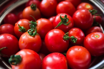 Azərbaycandan göndərilən 140 tona yaxın pomidor və nektarin Rusiyaya - Buraxılmayıb