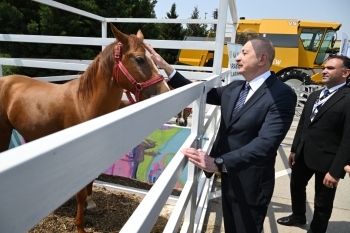 Prezident İlham Əliyev “InterFood Azerbaijan” və “Caspian Agro” sərgiləri ilə tanış olub - FOTOLAR | FED.az
