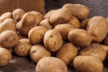 Kartof ixracı həcmcə 50%, dəyərcə 40% artıb
