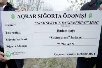 Azərbaycanda meyvə bağlarının aqrar sığortası mövsümü başlayır – ŞƏRTLƏR, MƏBLƏĞLƏR | FED.az