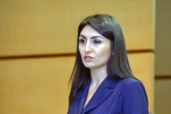 Vergi Xidməti: "Azərbaycan Avropaya ixrac edəcəyi məhsullara görə "karbon vergisi" ödəyəcək"