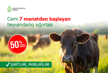 Cəmi 7 manatdan başlayan heyvandarlıq sığortası – ŞƏRTLƏR, MƏBLƏĞLƏR