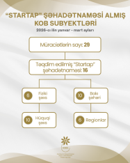 Azərbaycanda I rübdə 16 sahibkara "Startap" şəhadətnaməsi verilib | FED.az