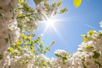 Bir ay sonra Azərbaycana yaz gələcək