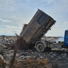 Türkiyədən Azərbaycana gətirilən şaftalı-nektarin tinglərində virus tapılıb | FED.az