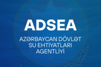 ADSEA-dan 7,3 milyonluq tender elanı - DETALLAR
