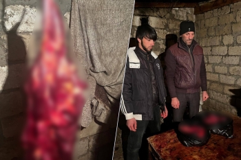 146 kq at ətini mal əti adı ilə Bakıda satacaqdılar - Fotolar | FED.az