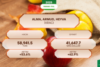 Azərbaycanın xaricə satdığı alma, armud və heyva bahalaşıb – İXRACI KƏSKİN ARTIB
