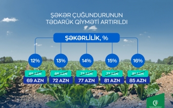 Azərbaycanda şəkər çuğundurunun alış qiyməti artırılıb - MƏBLƏĞLƏR | FED.az