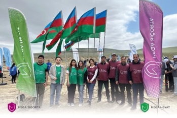"Meqa Sığorta" əməkdaşları növbəti ağacəkmə kampaniyasında iştirak ediblər - FOTOLAR