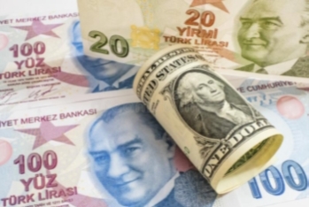 Türk lirəsi ABŞ dollarına qarşı 11 faiz ucuzlaşdı