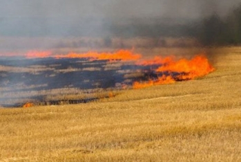 Əkin yerini yandıranları cərimə və həbs edəcəklər - YENİ QAYDA