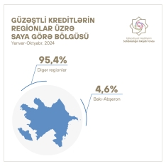 Güzəştli kreditlərin regionlar üzrə bölgüsü açıqlanıb | FED.az