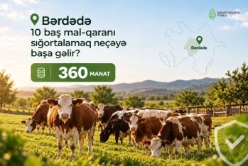 Ayda cəmi 3 manat ödəyin, heyvan tələf olarsa 1350 manat alın
