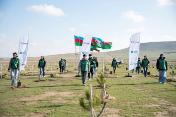 Trendyol və PAŞA “Holding”in təşəbbüsü ilə 12 mindən çox ağac əkilib -[red] FOTOLAR[/red] | FED.az