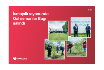 İsmayıllıda 189 şəhidin xatirəsinə “Qəhrəmanlar Bağı” salındı