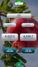 Azərbaycanın xaricə nar ixracatı - 40%-Ə YAXIN ARTIB | FED.az